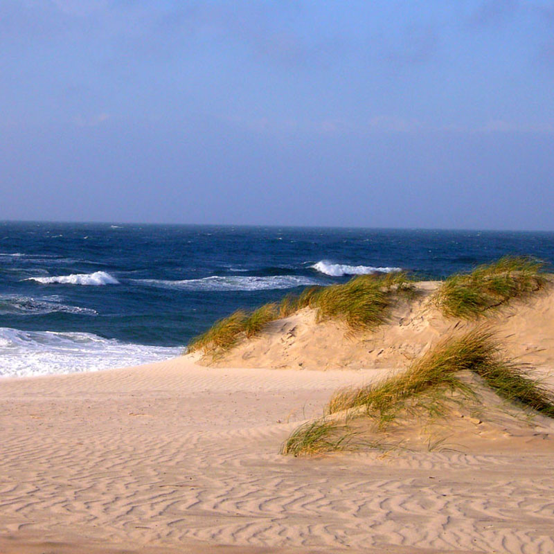 WESTERLAND Strandhotel-Feeling – inspirierende Dünen- und Meereskulisse für die farbige Walkfrottier-Kollektion - Hantermann - Der Hotelausstatter Strand mit Dünen und Wellen als Urlaubs-Setting für WESTERLAND 440 g/m² Walkfrottier-Handtücher