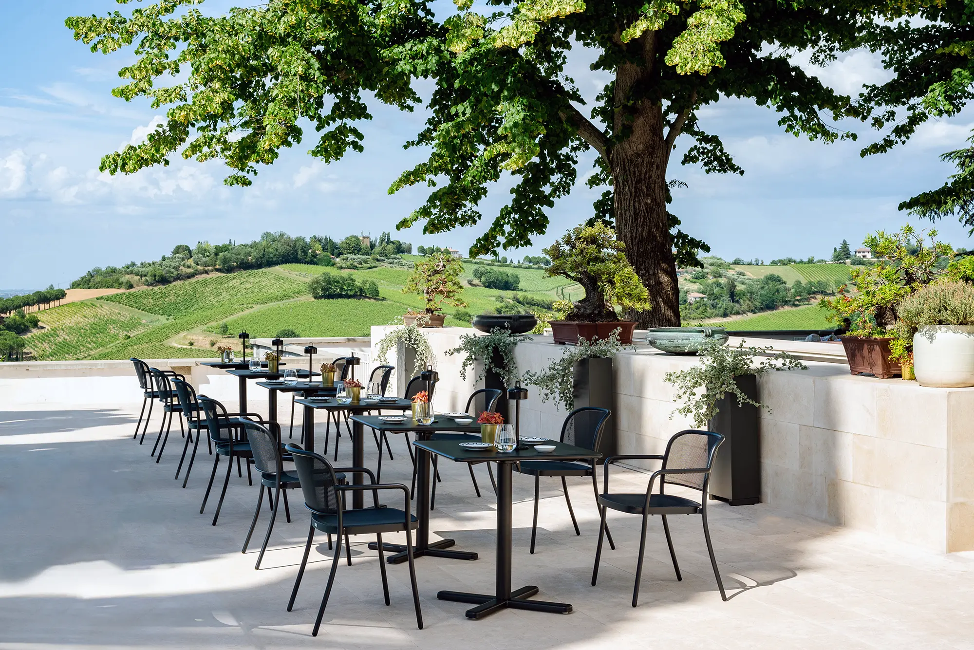 Emu-Darwin-521+522-Ambientebild-16 - Hantermann - Der Hotelausstatter EMU Darwin 521 Stapelstühle und 522 Armlehnstühle auf sonniger Restaurant-Terrasse mit gedeckten Bistrotischen, Blick auf toskanische Hügellandschaft mit Weinbergen – ideal für Hotels, Restaurants, Cafés, Bistros und Gaststätten im Außenbereich