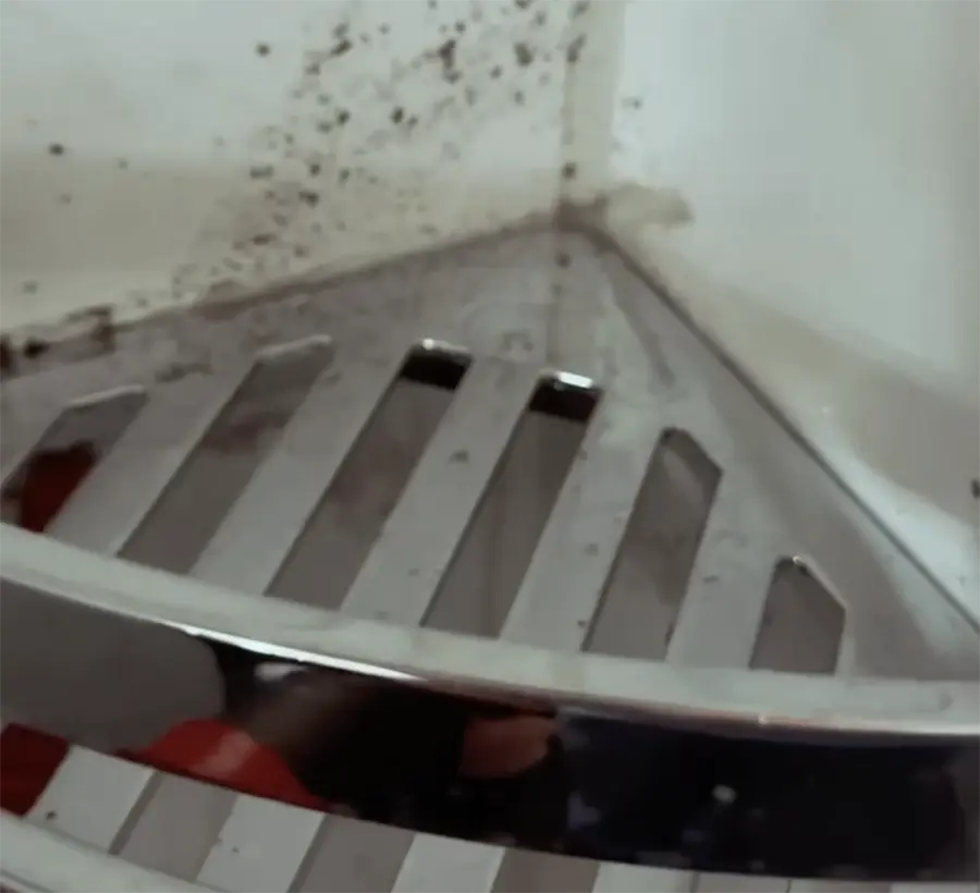 Schimmel-in-der-Dusche - Hantermann - Der Hotelausstatter Schimmelbefall in der Duschecke mit verschmutzter Ablage aus Edelstahl – typisches Hygieneproblem in Hotelbädern, Restaurant-Sanitärbereichen und Pflegeeinrichtungen