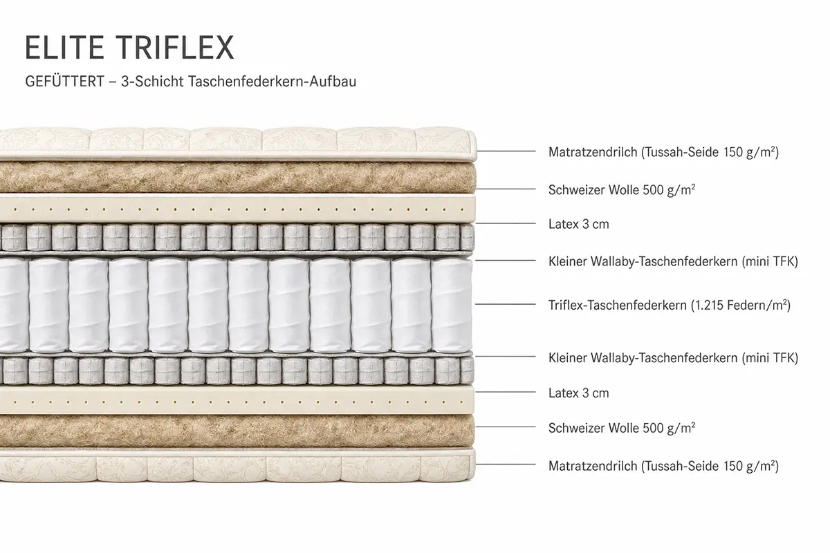 Mehrschicht-Federkern-System