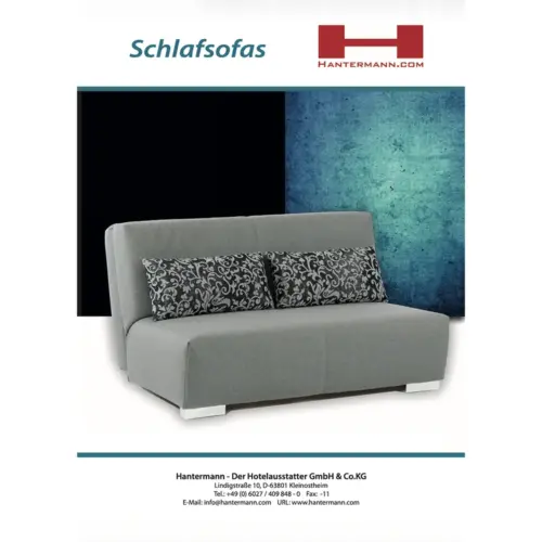 Graues Hanterman Schlafsofa mit zwei gemusterten Rückenkissen vor blau strukturierter Wandgestaltung